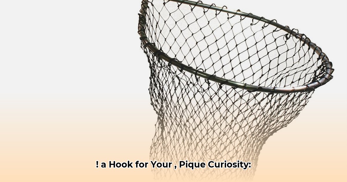 net-worth-of-ravi-shastri